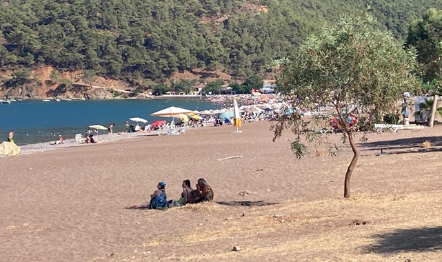 Adrasan plajı nerede