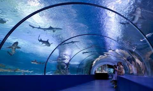 Antalya akvaryum giriş ücreti 2024