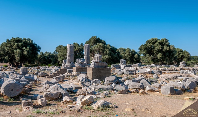 teos antik kenti müze kart geçerli mi