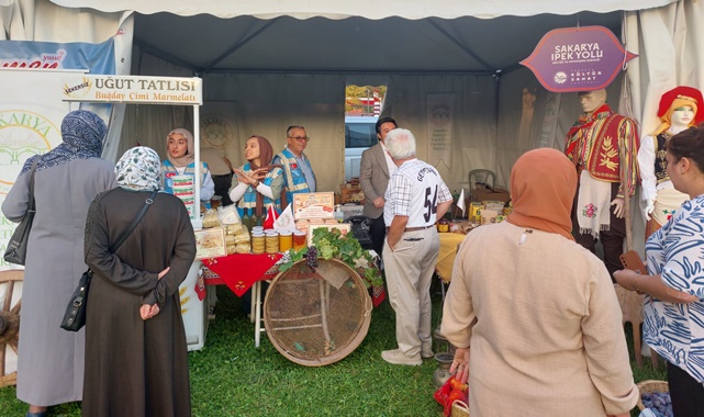 sakarya kültür sanat festivali nerede