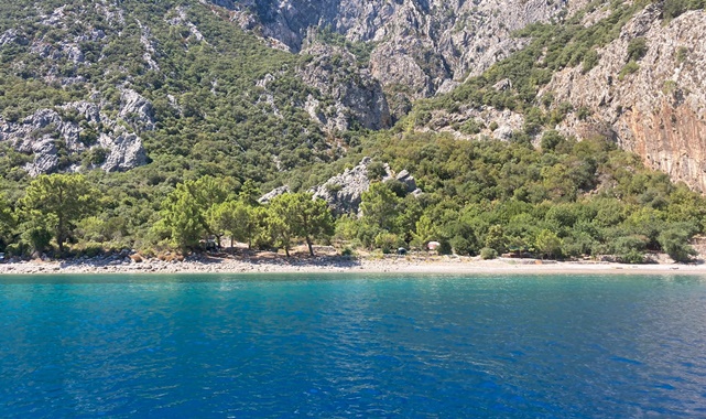 ceneviz koyu tekne turu fiyatları