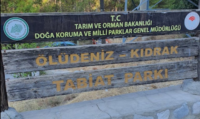 kıdrak plajı dalgalı mı