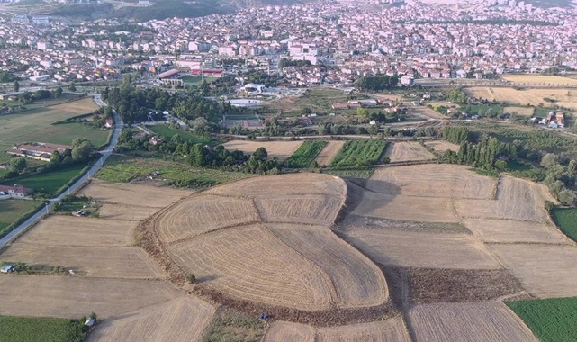 tavşanlı höyük hakkında bilgi