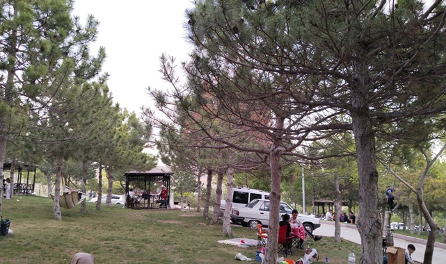 rahmet ormanları yol tarifi