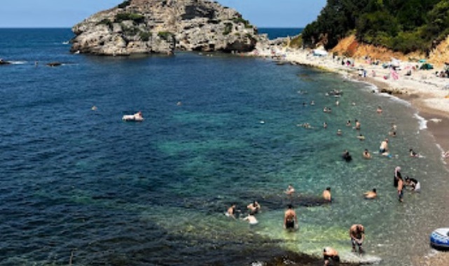 sardala koyu nerede