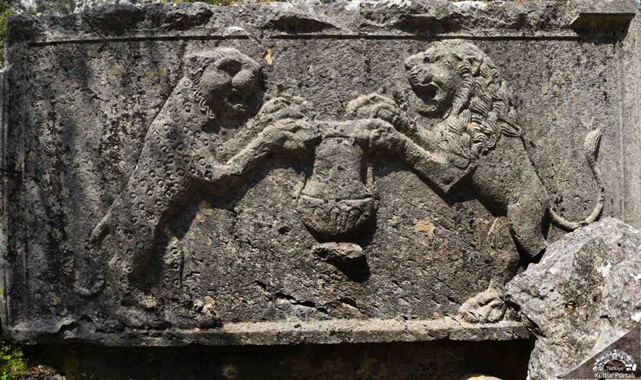 Termessos Antik Kenti hikayesi