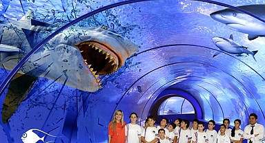 Antalya Akvaryum giriş ücreti 2024!