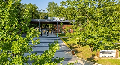 Ormanya ücretli mi 2024?