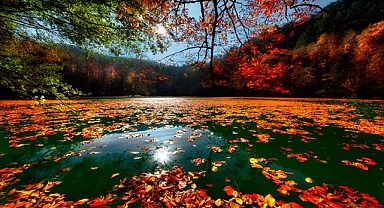 Yedigöller milli parkı giriş ücreti 2024