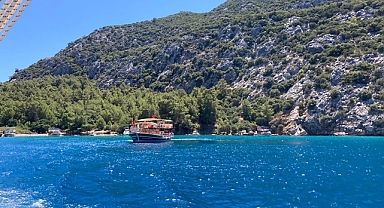 Ceneviz Koyu tekne turu fiyatları 2024!