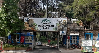 Antalya doğal yaşam parkı giriş ücreti zamlandı