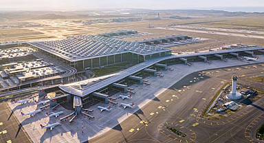 Sabiha Gökçen Havalimanı'nda tilki alarmı... Uçuşları durdurdu