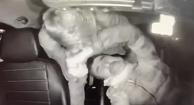 İngiliz turist tutuklandı