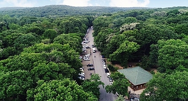 Belgrad Ormanı giriş ücretleri 2025!