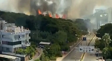 Lara'da orman yangını!