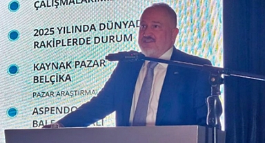 Antalya'da ziyaretçi sayısı düşerken hangi ülke sürpriz yaptı?