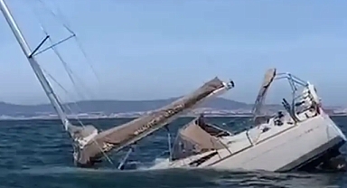 Katil balinalar turist botunu batırdı