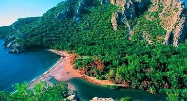 Orman Bakanlığı'ndan 'otel' açıklaması!